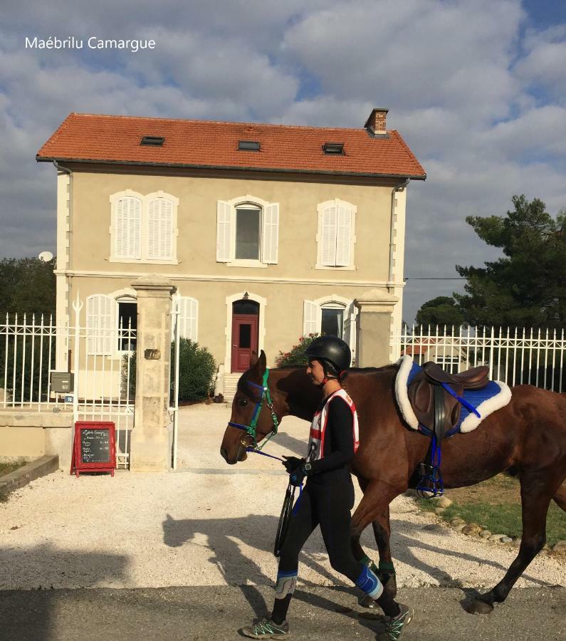 לינה וארוחת בוקר סלון-דו-ז'ירו Maebrilu Camargue Provence מראה חיצוני תמונה